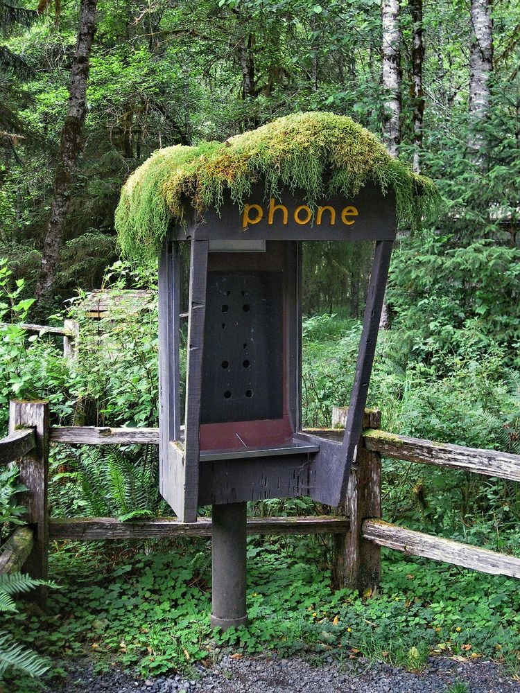Ruf doch mal an :-))) Foto & Bild | sonstiges, natur und technik, natur