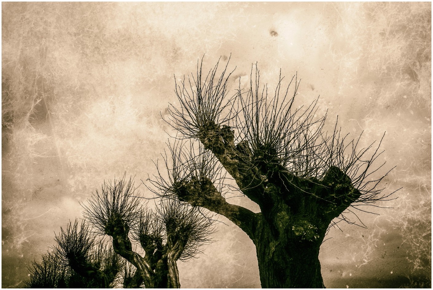 Rufer Foto & Bild art, world, spezial Bilder auf