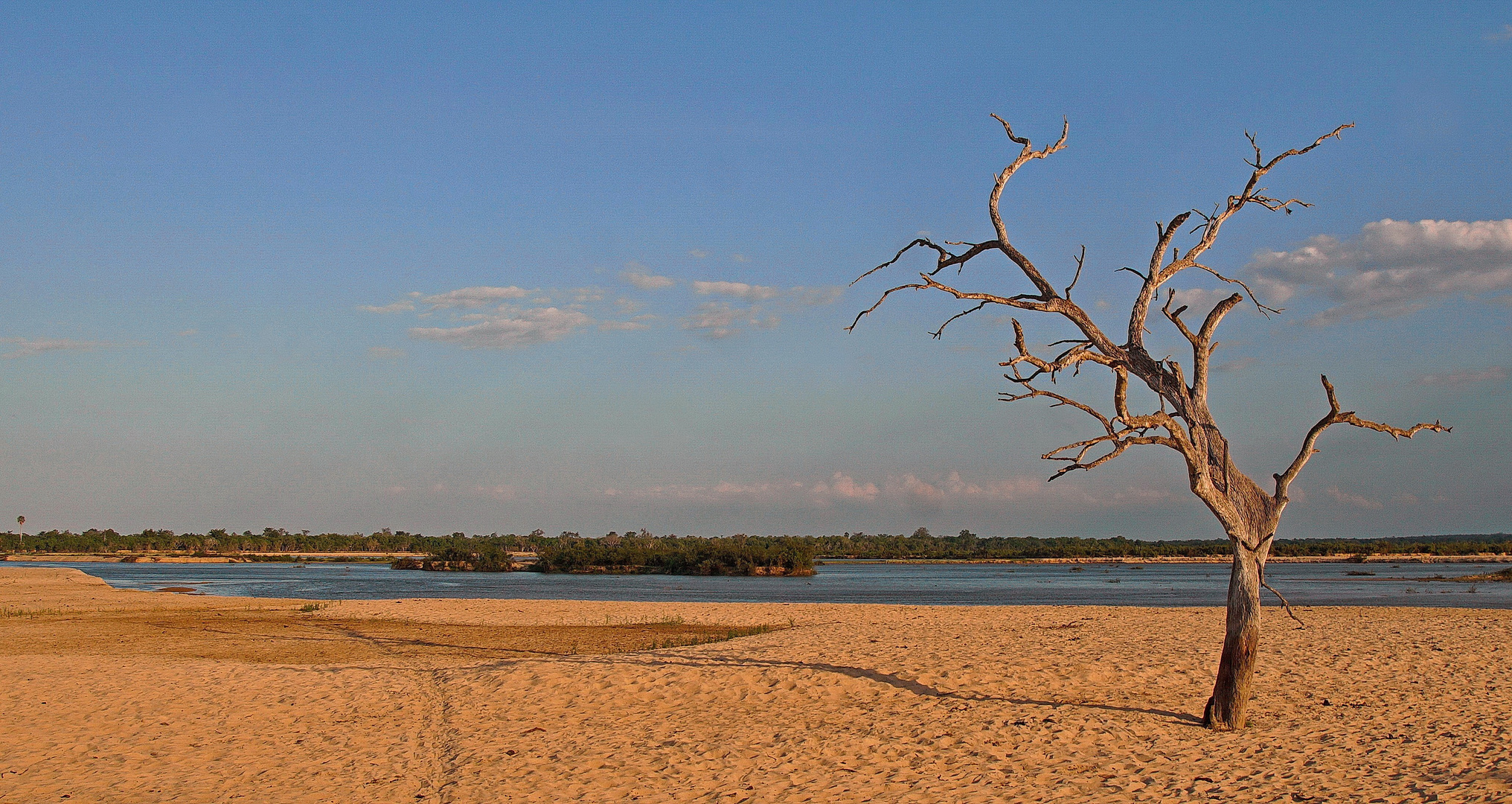 Rufiji River