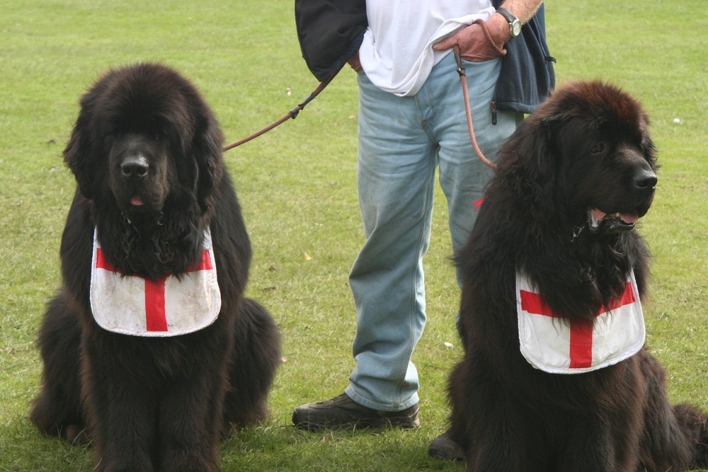 Rufus and Floyd