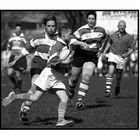 Rugby 208251