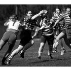 Rugby 208325