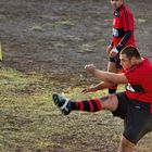 RUGBY 5