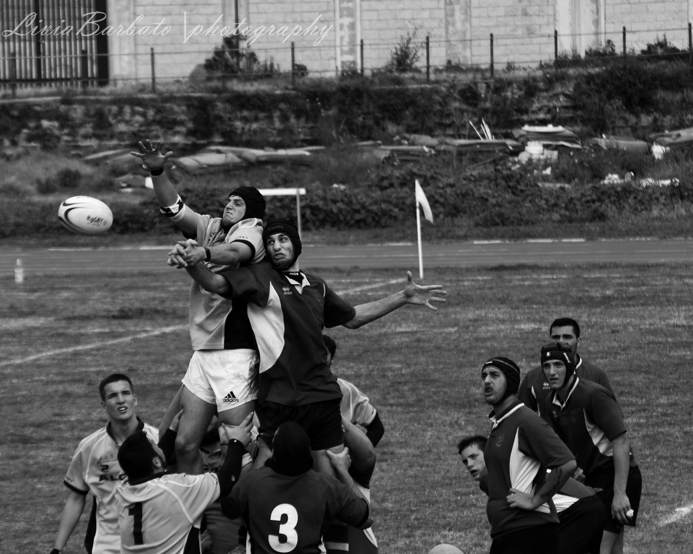 Rugby