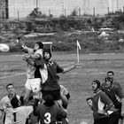 Rugby