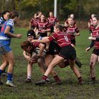 Rugby Frauenbundesliga  ( 2 )