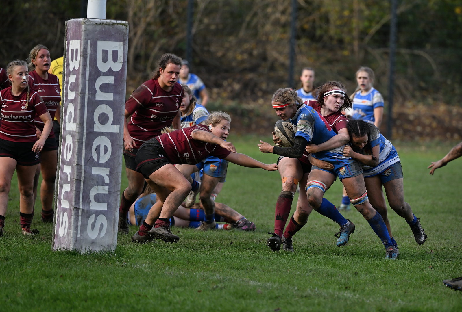 Rugby Frauenbundesliga ( 3 )