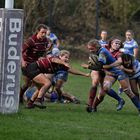 Rugby Frauenbundesliga ( 3 )