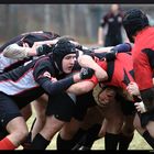 Rugby in KL