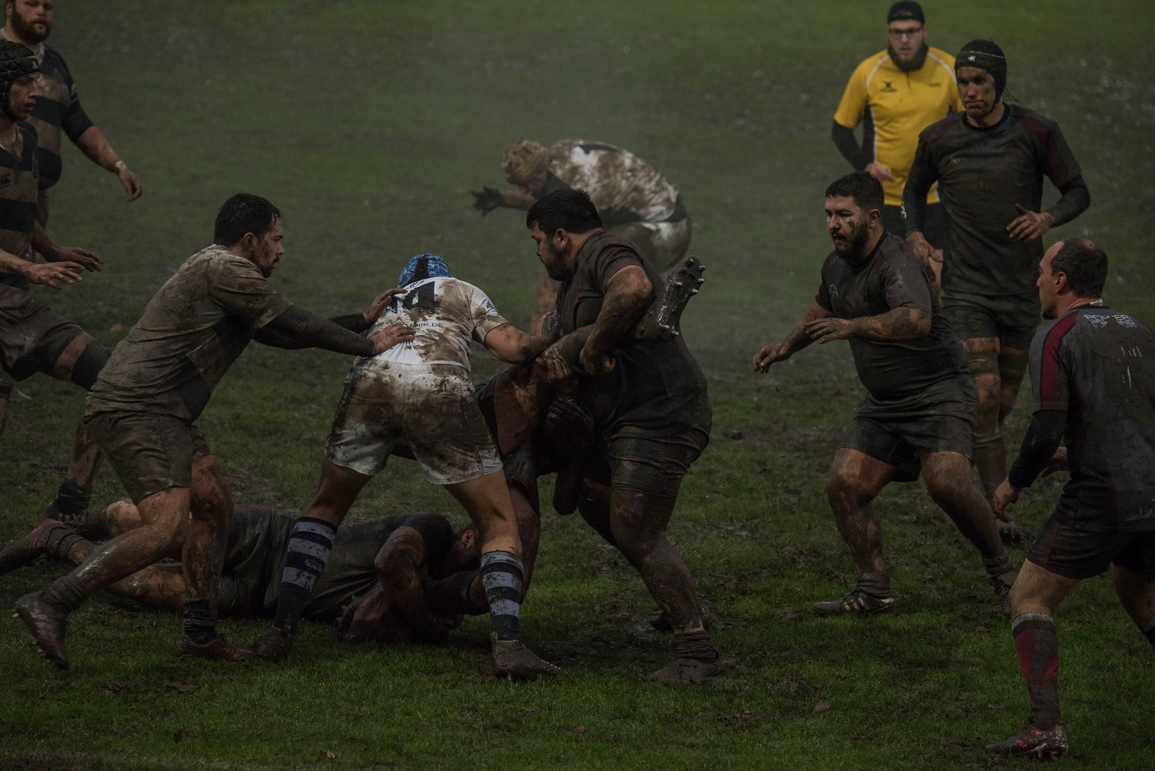 rugby köln 7