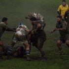 rugby köln 7