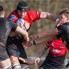 Rugby-Länderspiel GER vs. Belgien