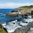 Rugged coastline