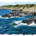 Rugged coastline3