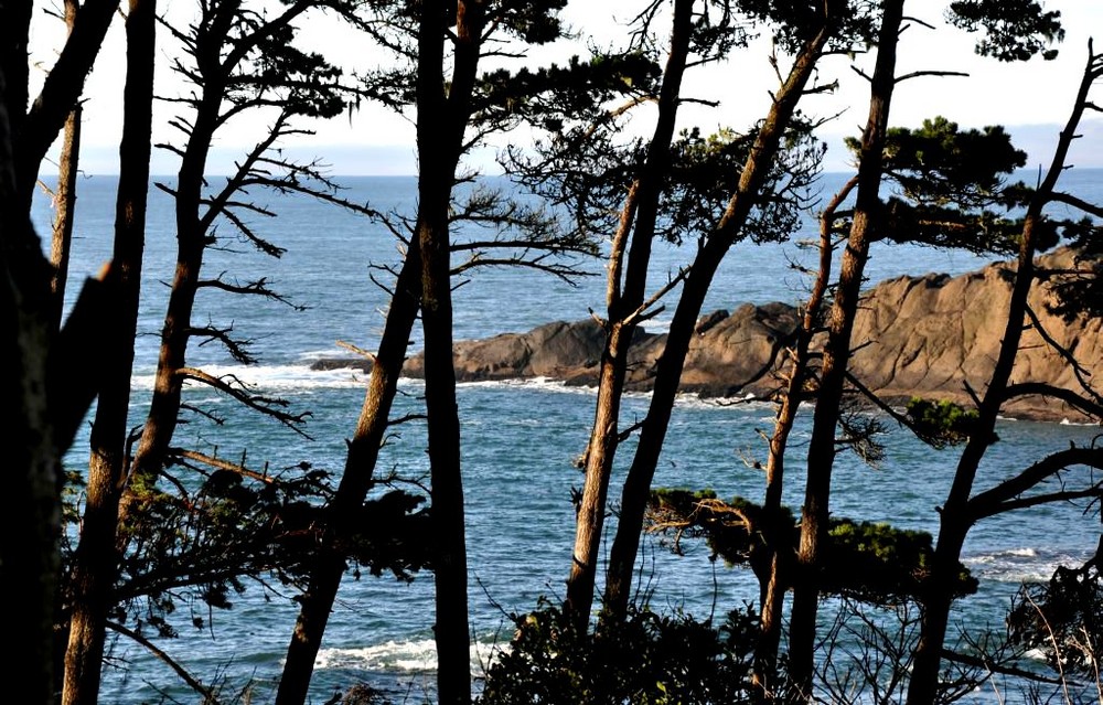 Rugged Oregon Coast