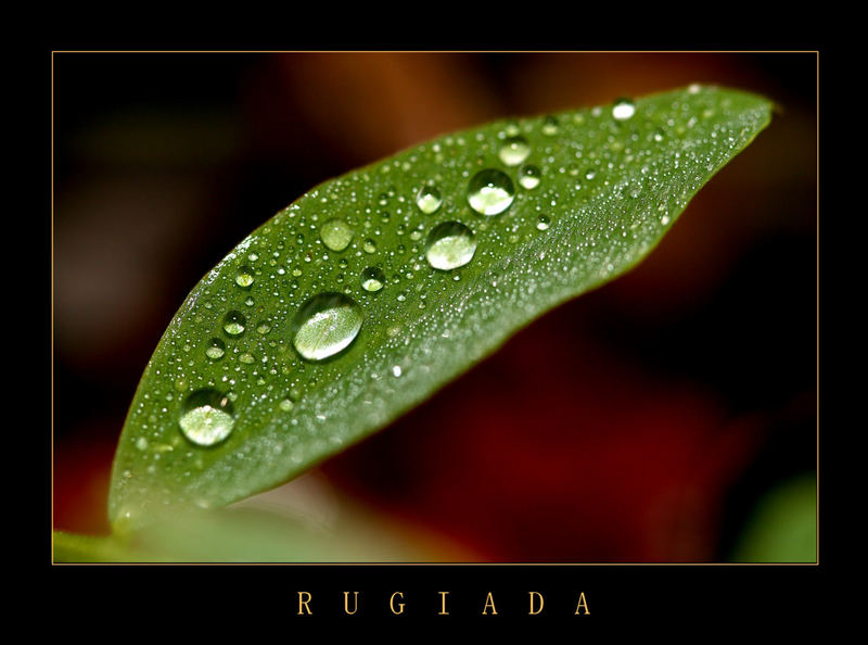 RUGIADA