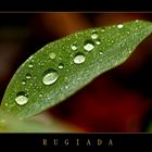 RUGIADA