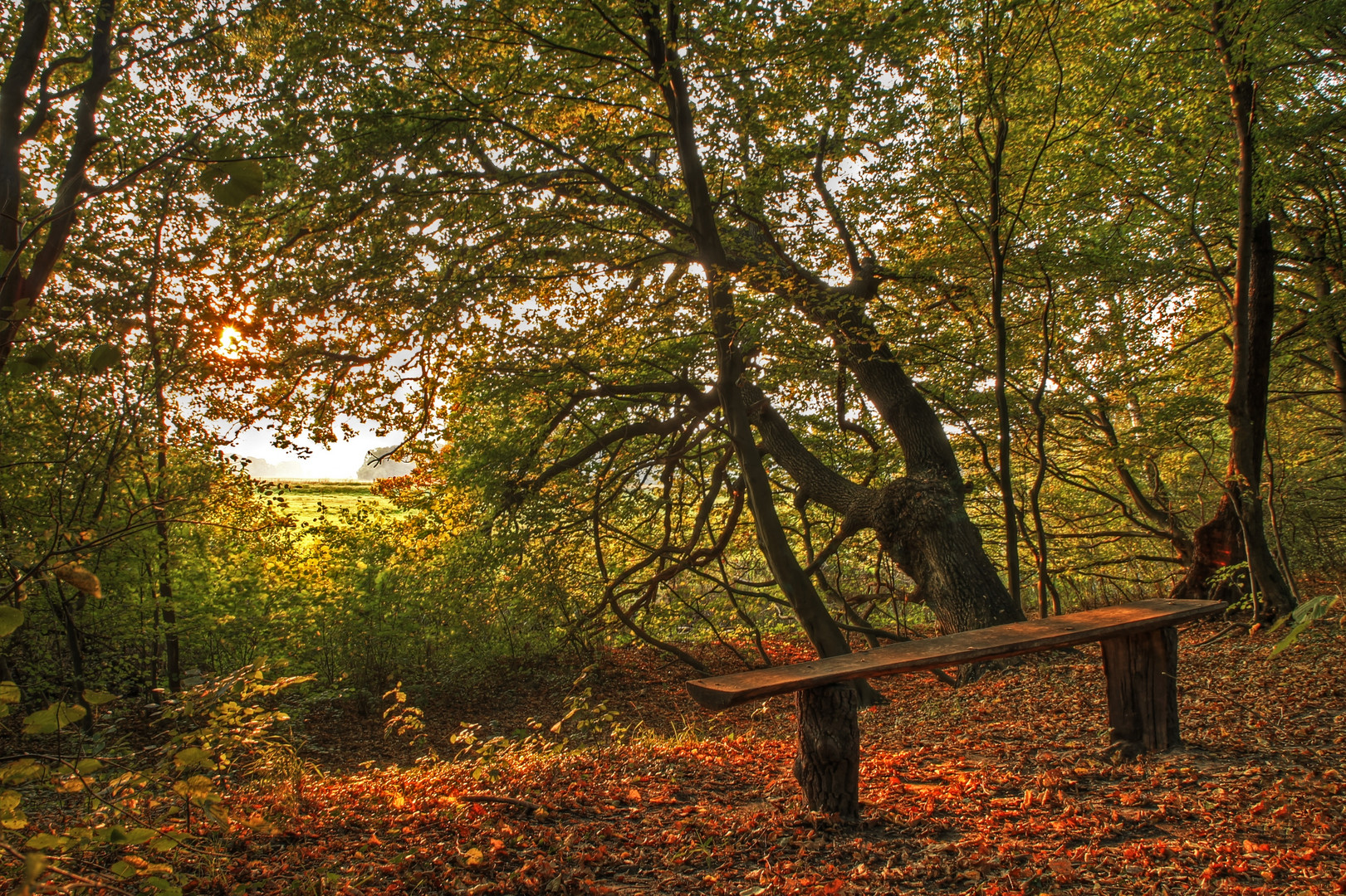 Ruh Dich Aus Foto Bild Landschaft Wald Natur Bilder Auf Fotocommunity