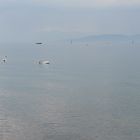 Ruhe am Bodensee