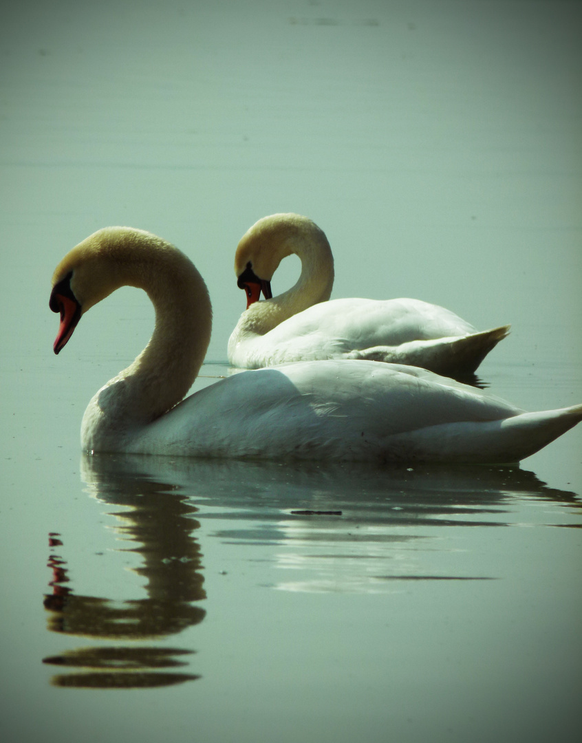 Ruhe am Chiemsee