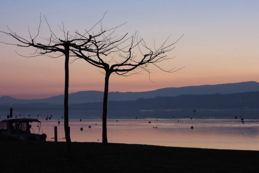 Ruhe am Ende des Tages - Murtensee im März 3