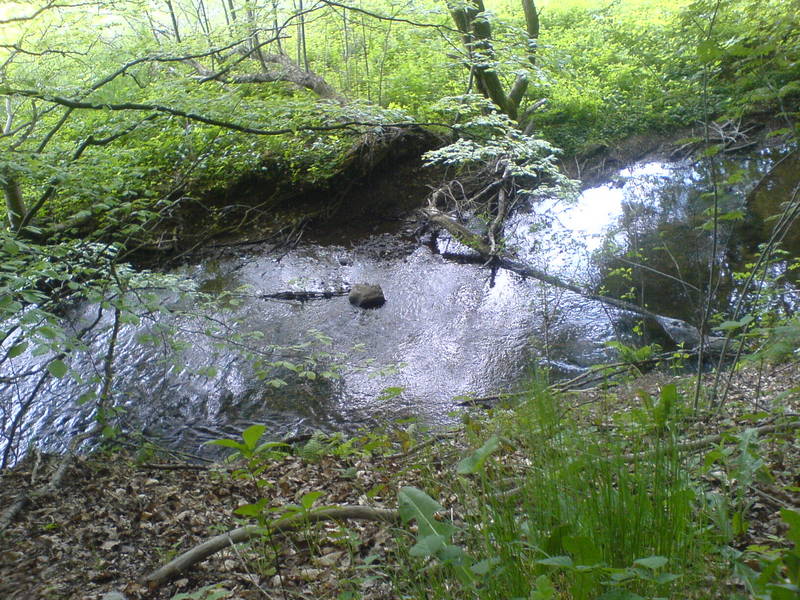 Ruhe am fließenden Wasser