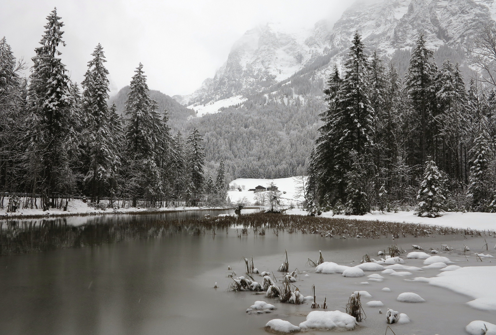 Ruhe am Hintersee...