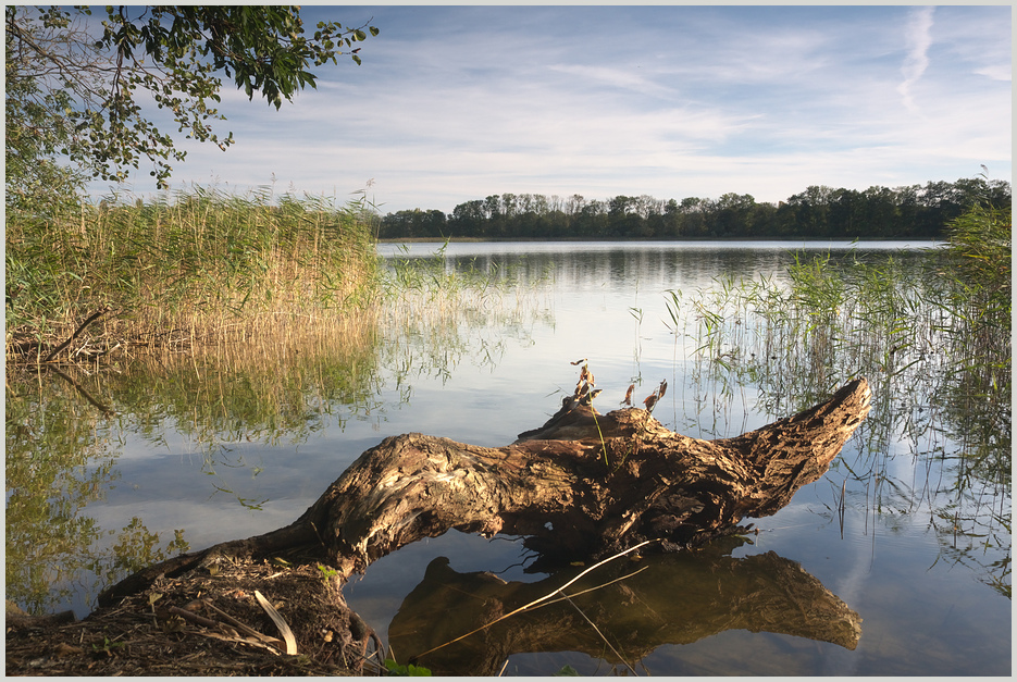 Ruhe am Inselsee