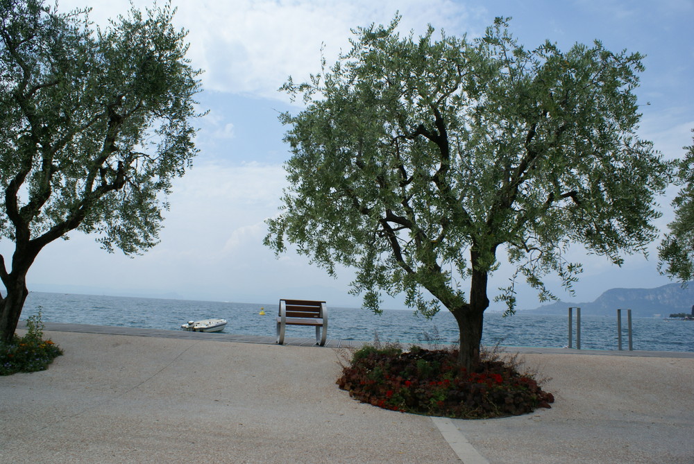 Ruhe am Lago di Garda