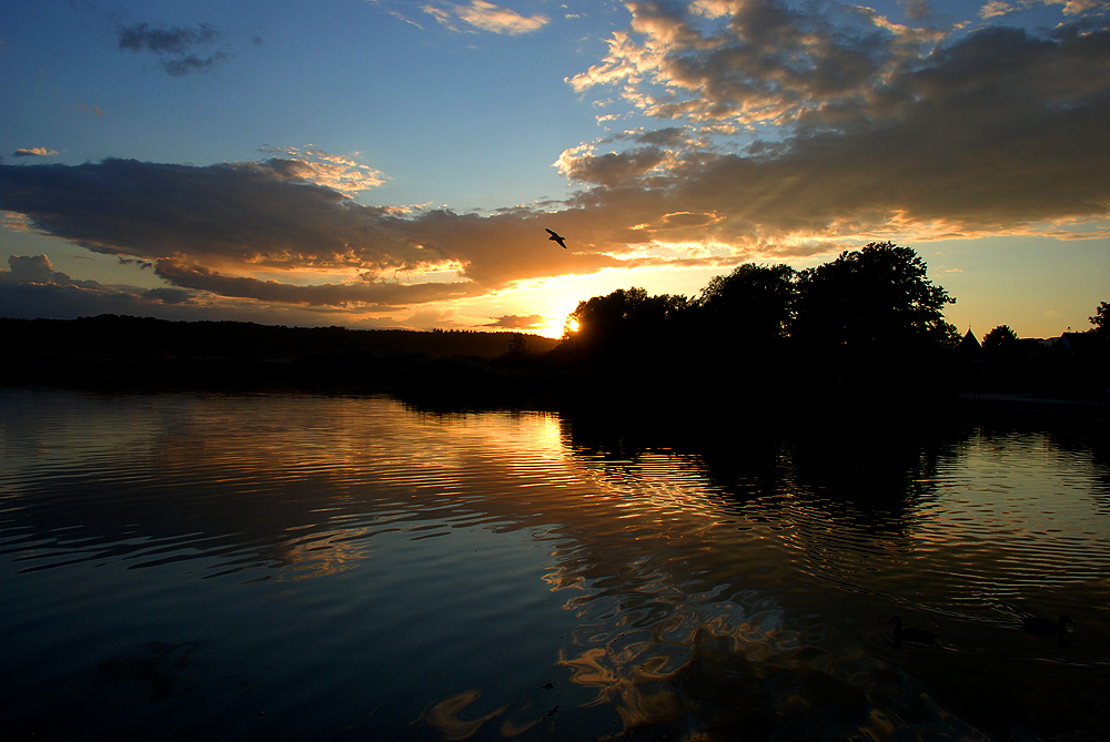 Ruhe am Schmachtensee