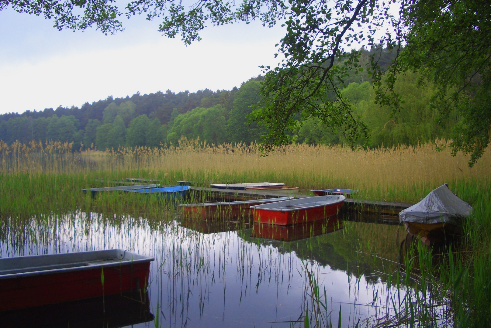 Ruhe am See