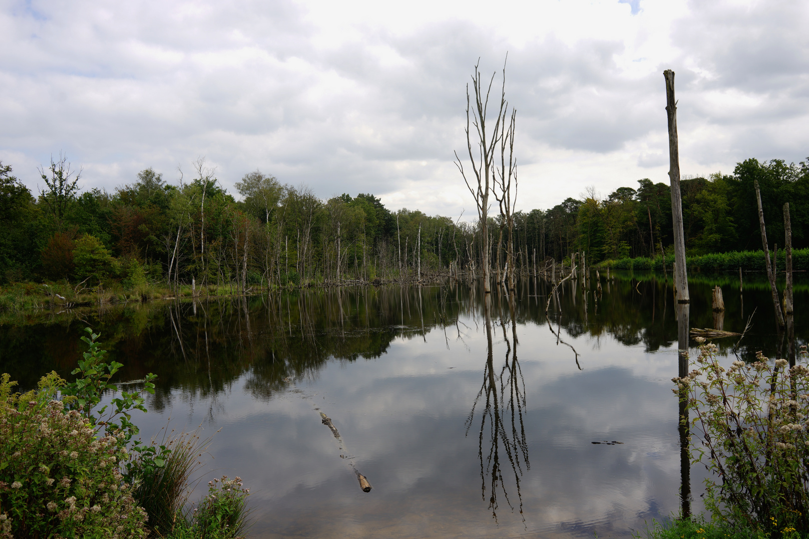 Ruhe am See