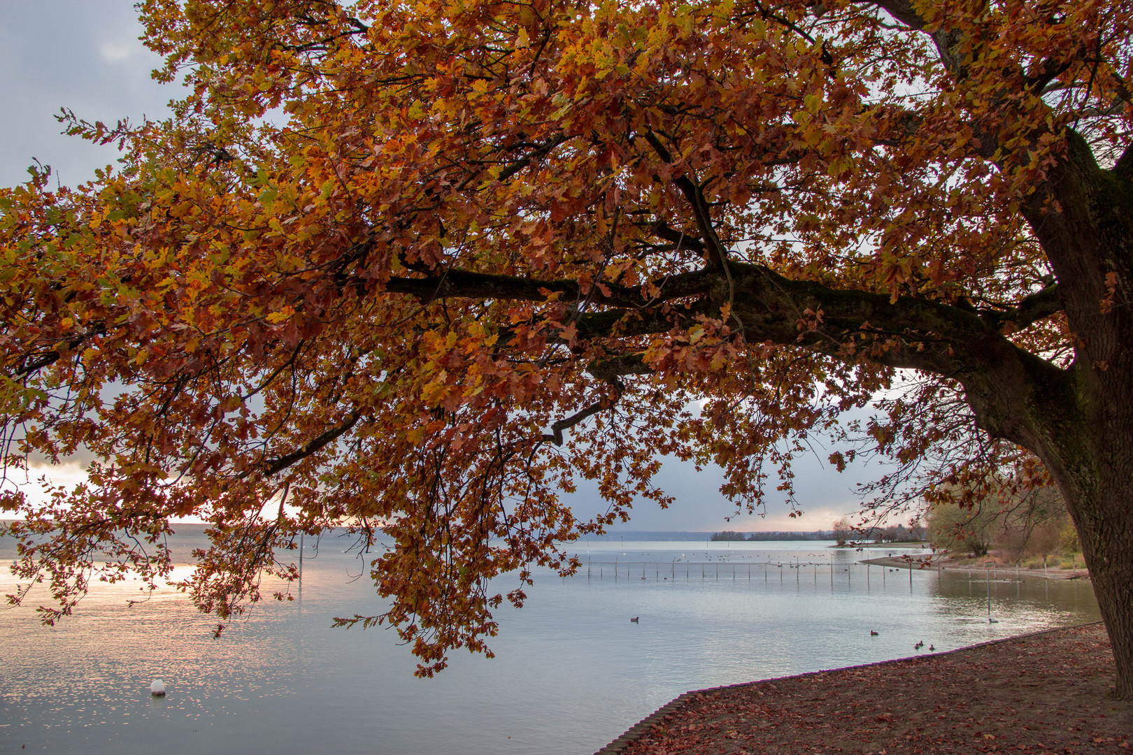 Ruhe am See