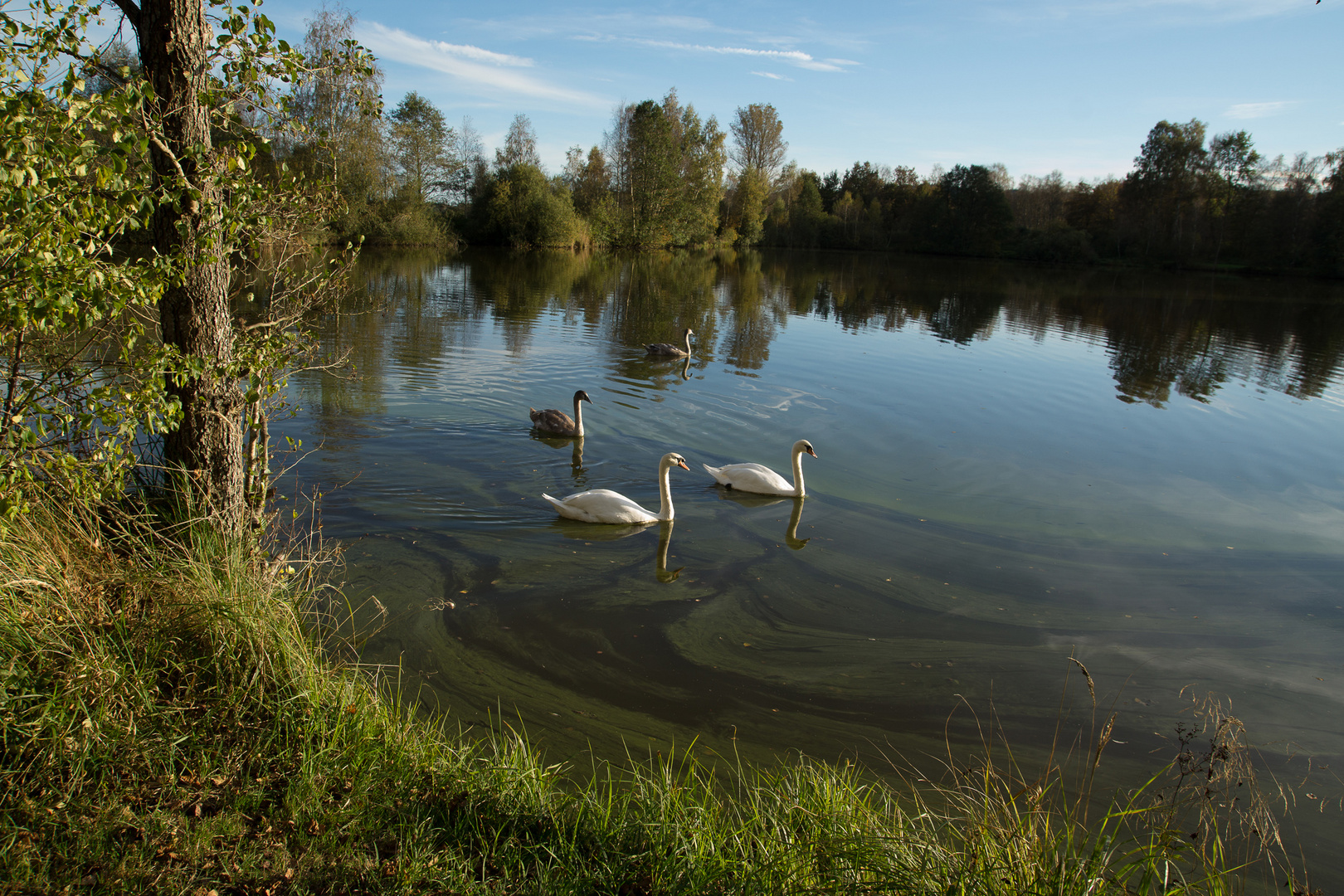 Ruhe am See