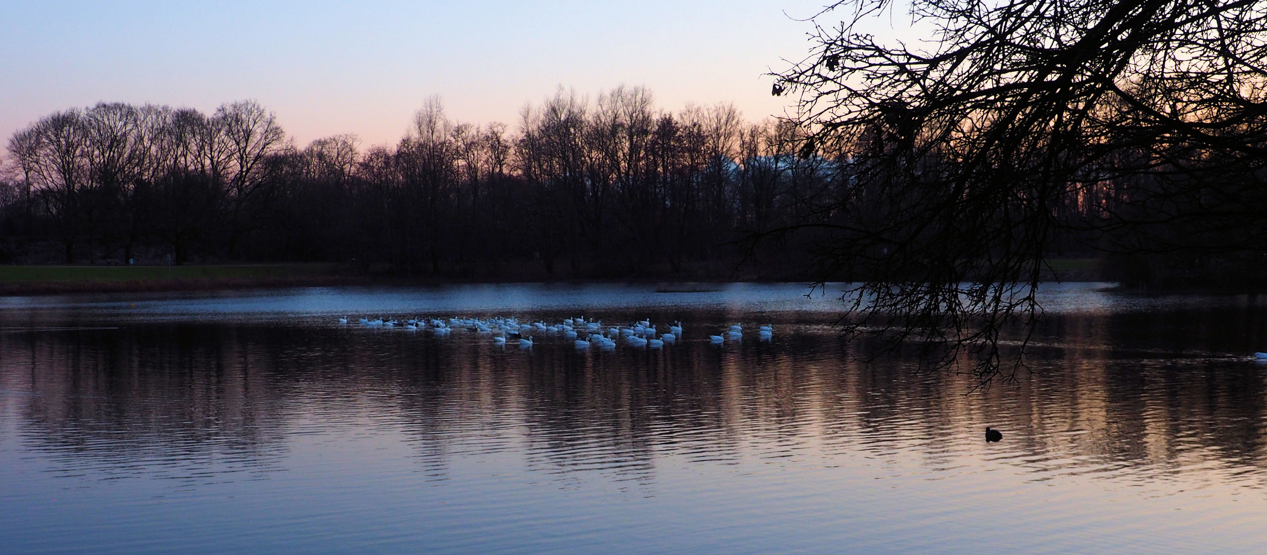 Ruhe am See .....