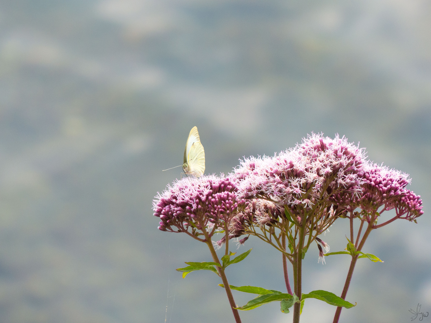 Ruhe am See