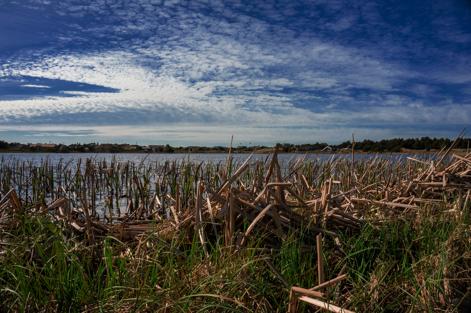 Ruhe am See