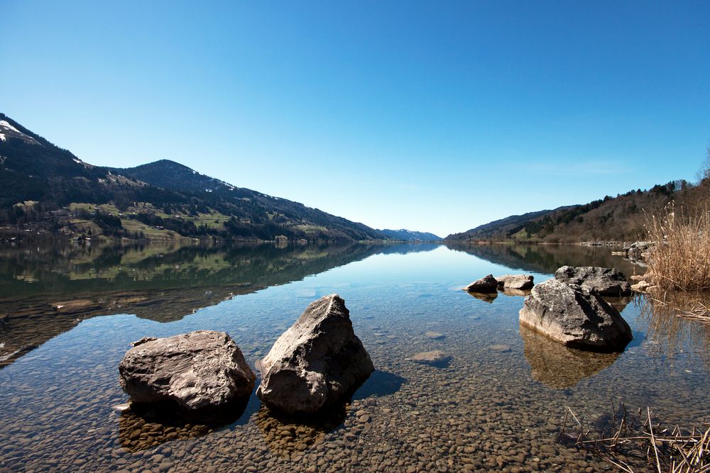 || Ruhe am See - Der Alpsee ||