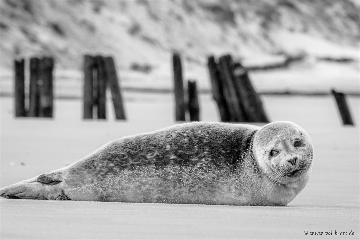 Ruhe am Strand