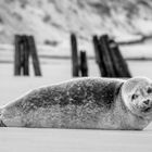 Ruhe am Strand