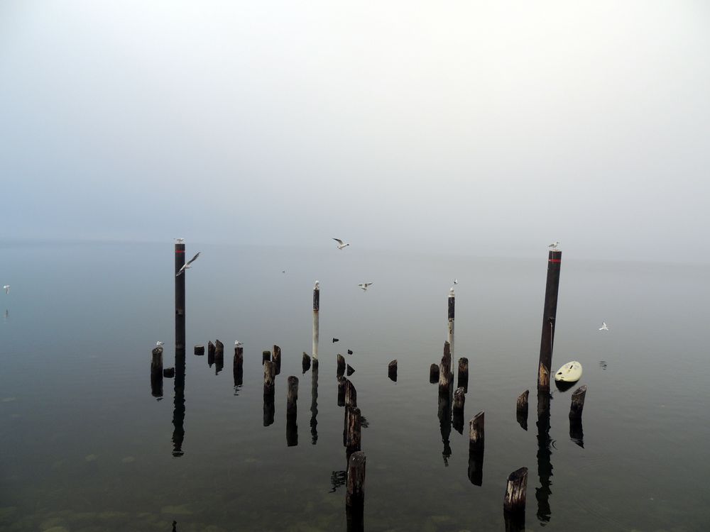 Ruhe am Traunsee