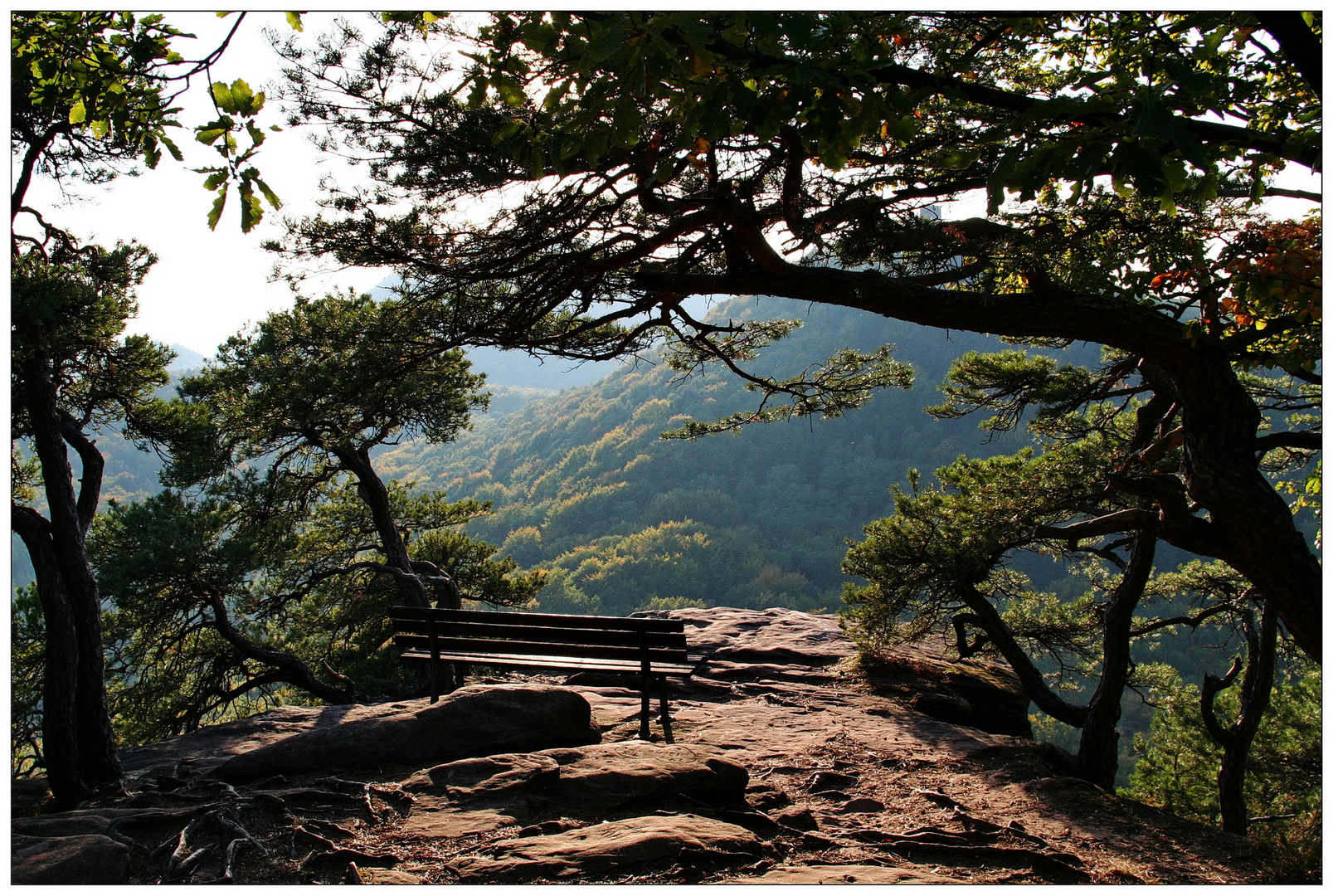 Ruhe am Trifels