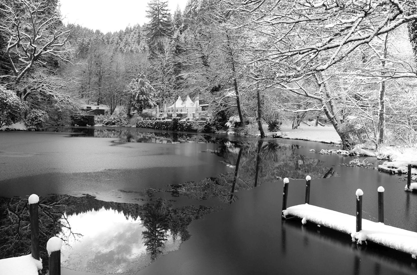 Ruhe am Waldsee