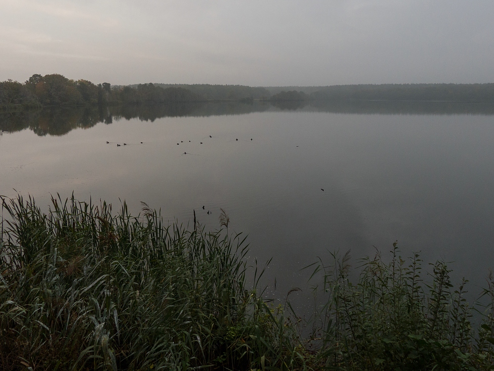 Ruhe am Warnker See