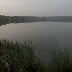 Ruhe am Warnker See