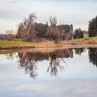 Ruhe am Weiher