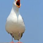 "Ruhe an meinem Strand!!!"