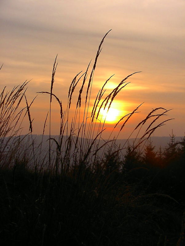 Ruhe auf dem Rothaarsteig