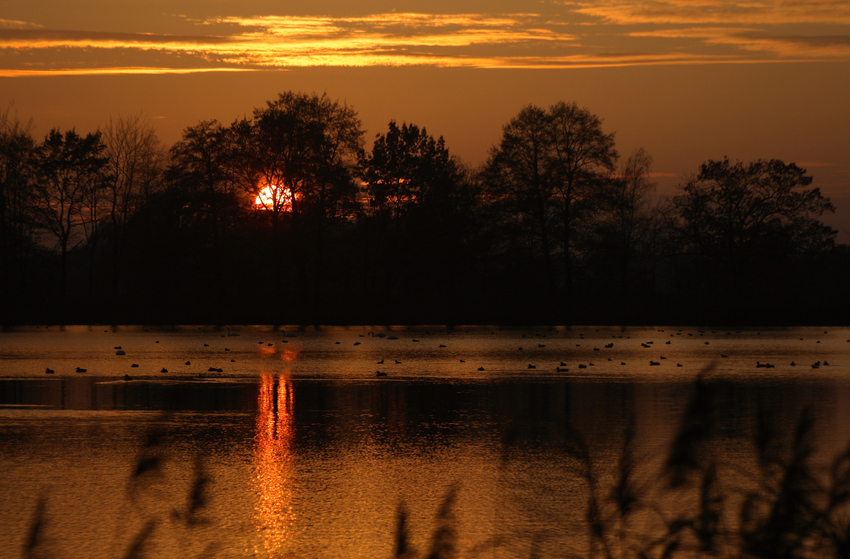 Ruhe auf dem See