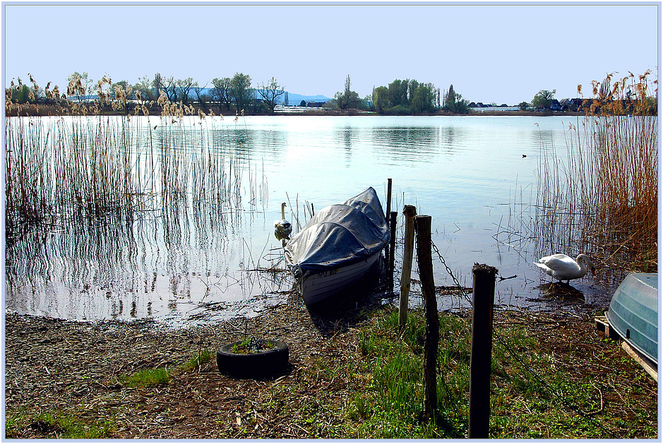 Ruhe auf der Reichenau